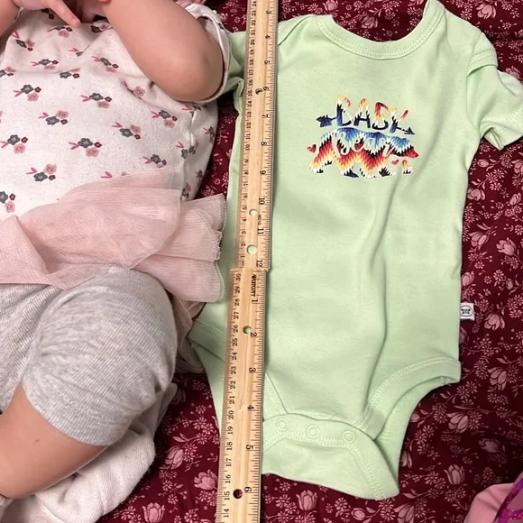 New four Honest Baby onesies New never worn, hand pressed hand created - Picture 2 of 16